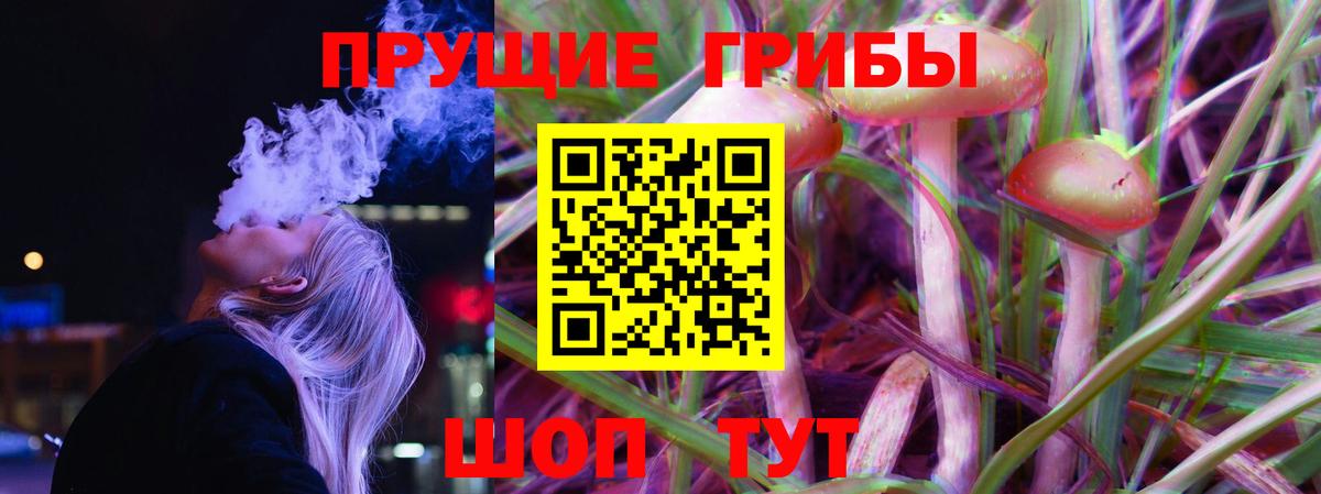 Сухой Лог  Псилоцибиновые грибы GOLDEN TEACHER  Вход с VPN  Галлюциногенные грибы GOLDEN TEACHER 