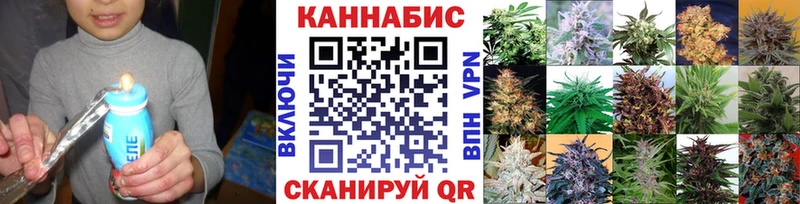 Шишки марихуана Amnesia Сухой Лог